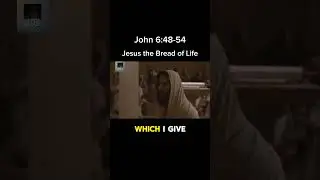 John 6:48-54 | Jesus the Bread of Life #Jesus #God #shorts