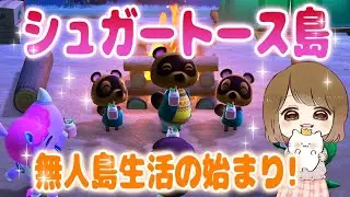 あつ森が神ゲーすぎる！ 