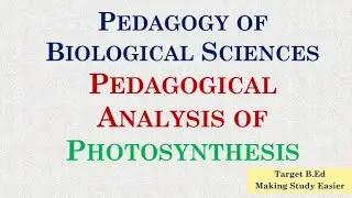 Pedagogical analysis of Photosynthesis/ Pedagogy of Biological Sciences