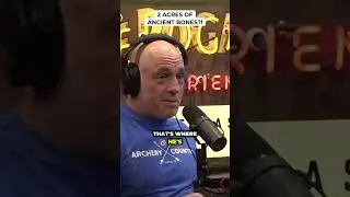 2 Acres of Ancient Bones?! - Ryan Callaghan #jre #shorts