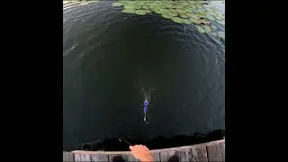 cast net for bluegill