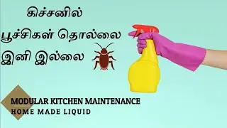kitchen cleaning & Maintenance Tips - Home made liquid for insects/cockroach