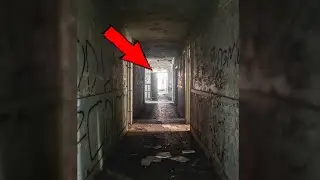 Something was waiting for them in that abandoned basement