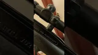 Navi ban gayi Mossberg Plinkster 🔫 #punjabi #canada #gun