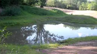 Palmyra Cove Nature Park 11.MP4