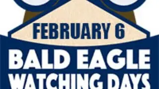 We &hearts; Snow Birds! Bald Eagle Behavior and Habitat