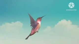 Flying Bird Animation Studios Logo (1993-2017)