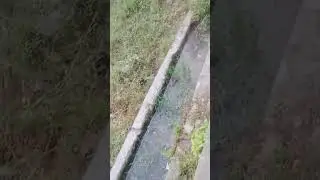Natural water sources in Himachal Pradesh