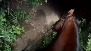 Hack Cam - Part 6 - More Village Trails