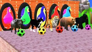 Cat vs gorila race  long slide game with animals 