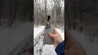 Стоит ли покупать iPhone 15 pro ?