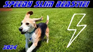 Speedy Slim Beastie!