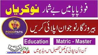 FoodPapa Jobs 2025 | Hiring Now | Apply Krdo