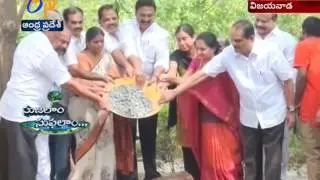 MLA Gadde Ram Mohan Takes Initiative to Construct 5000 Water Pits at Vijayawada