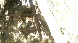Wikieup/Wikiup/Wickiup