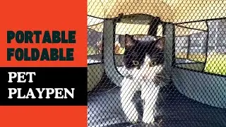 Can This Portable Pet Playpen REALLY Be Set Up in Just 5 Minutes?