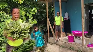 The reason why I farm is to share my products wid family&friends |pappy got cane|sister got Callaloo