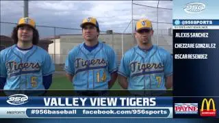 Valley View Tigers Baseball Preview