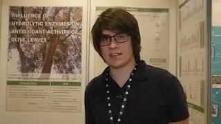 EUCYS &ndash; Influence on hydrolytic enzymes on antioxidant efficiency of olive leaf extracts