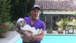 Lucy's Debut on David Tutera Unveiled
