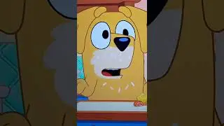 Bluey Pass The Parcel Episode Discussion