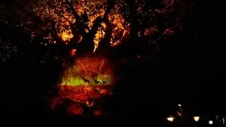 Tree of Life Projection Show - WOW!!! Disney's Animal Kingdom Walt Disney World