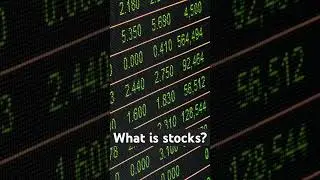 Stocks 101: Everything You Need to Know to Get Started!