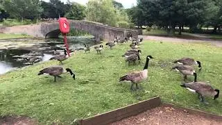 Perry park, Birmingham, Uk