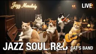 Jazz Soul R&B Instruments | Relaxing Music for Focus & Night Listening - Jazz Meowlody Cat's Band