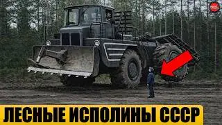 5 редких лесовозных тягачей СССР.