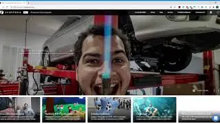 Wombat &mdash; Everipedia Review