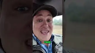 Shocking Car Scam  Fake Title Exposes Costly Colorado Conspiracy