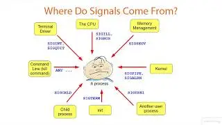 07 01 Understanding Signals in Linux System