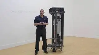 E-252 Atlantis Standing Lateral Raise