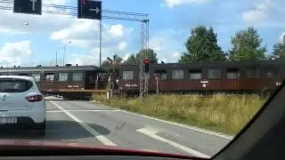 lennakatten Uppsala