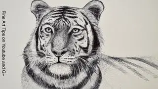 How to Draw a Tiger - Tiger Head With Marker