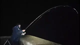 Monster Bull Huss - PB smashed at Ilfracombe Pier