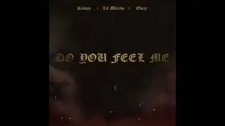Kinkyy x Lil Weirdo x O'Way - Do You Feel Me (New 2024)