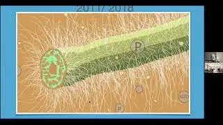 Jeff Lowenfels   The Updated Soil Food Web 10/12/23