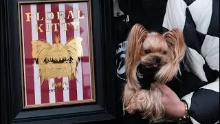 Glass gilding puppy