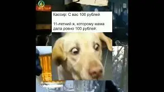 мемас #мемчик #мемчики #мем #мемы #мемас #мемасы #мемасик #мемасики #shorts