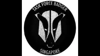 Task Force Badger l Arma 3 l Sunday Ops I