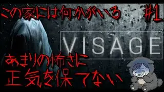 この家は何かがおかしい。精神崩壊すると言われたホラーゲームがやばすぎる【visage #1】