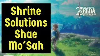 Shrine Solutions with The Zelda Lady - Shae Mosah