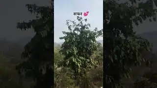 #song #nature #naturesounds