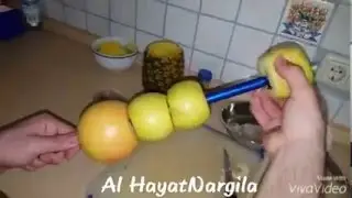 Shisha fruit Hammma shisha  Selects someone needs to see it