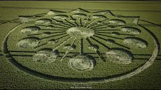 Massive Crop Circle | 25 June 2023 | Owslebury, Winchester, Hampshire | Crop Circles From The Air