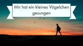 German Song: Mir hat ein kleines Vögelchen gesungen (With English lyrics)