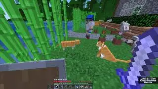C418 - Cat (Trap Remix)