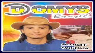 Domys Brasil 2014 - Vaquejada